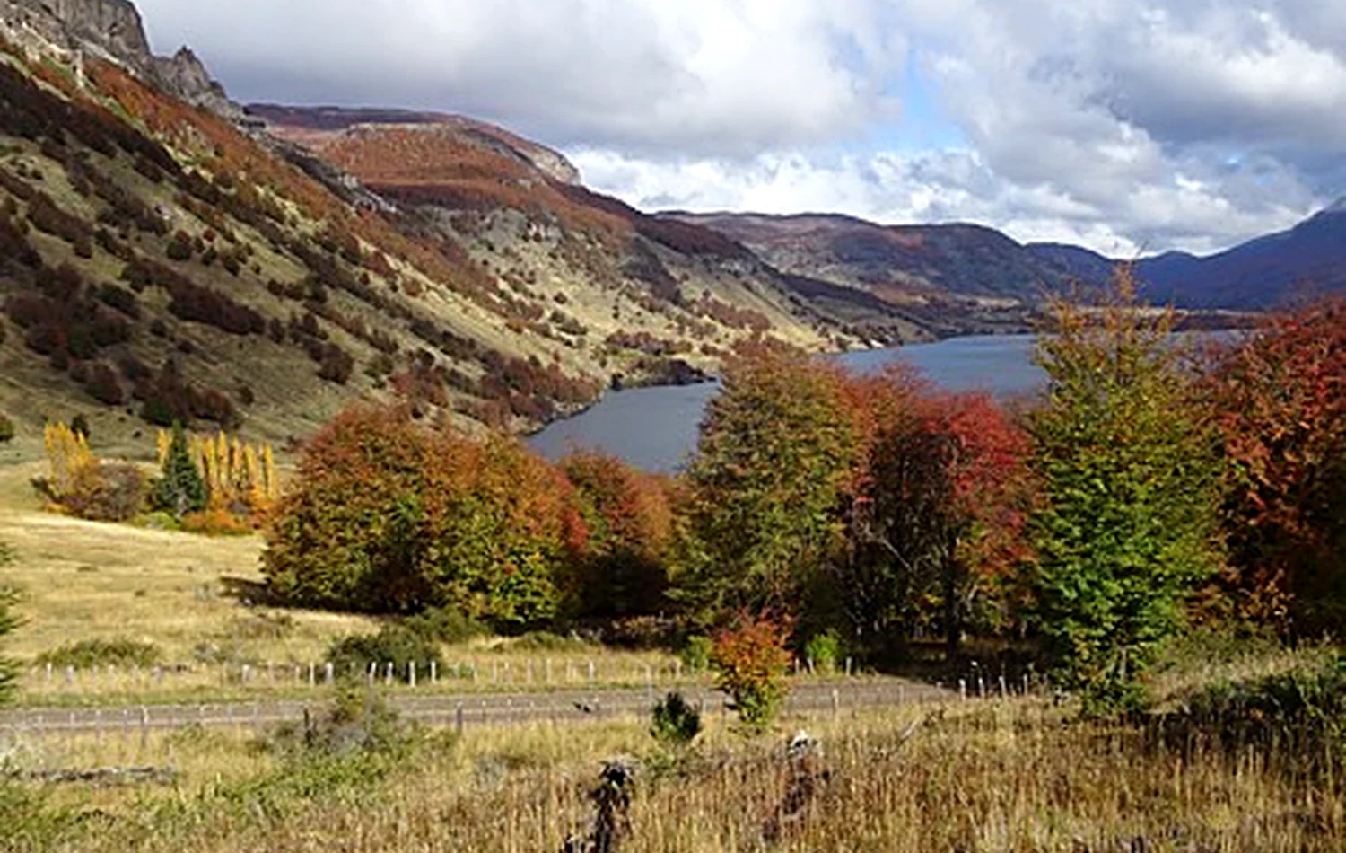 Vista del Lago Monreal desde una pradera del proyecto