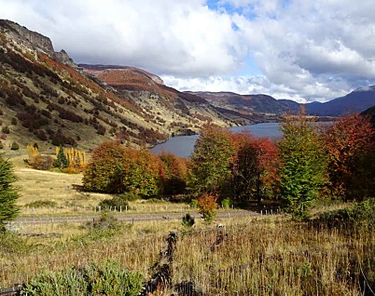 Lomajes suaves y colores del bosque patagónico