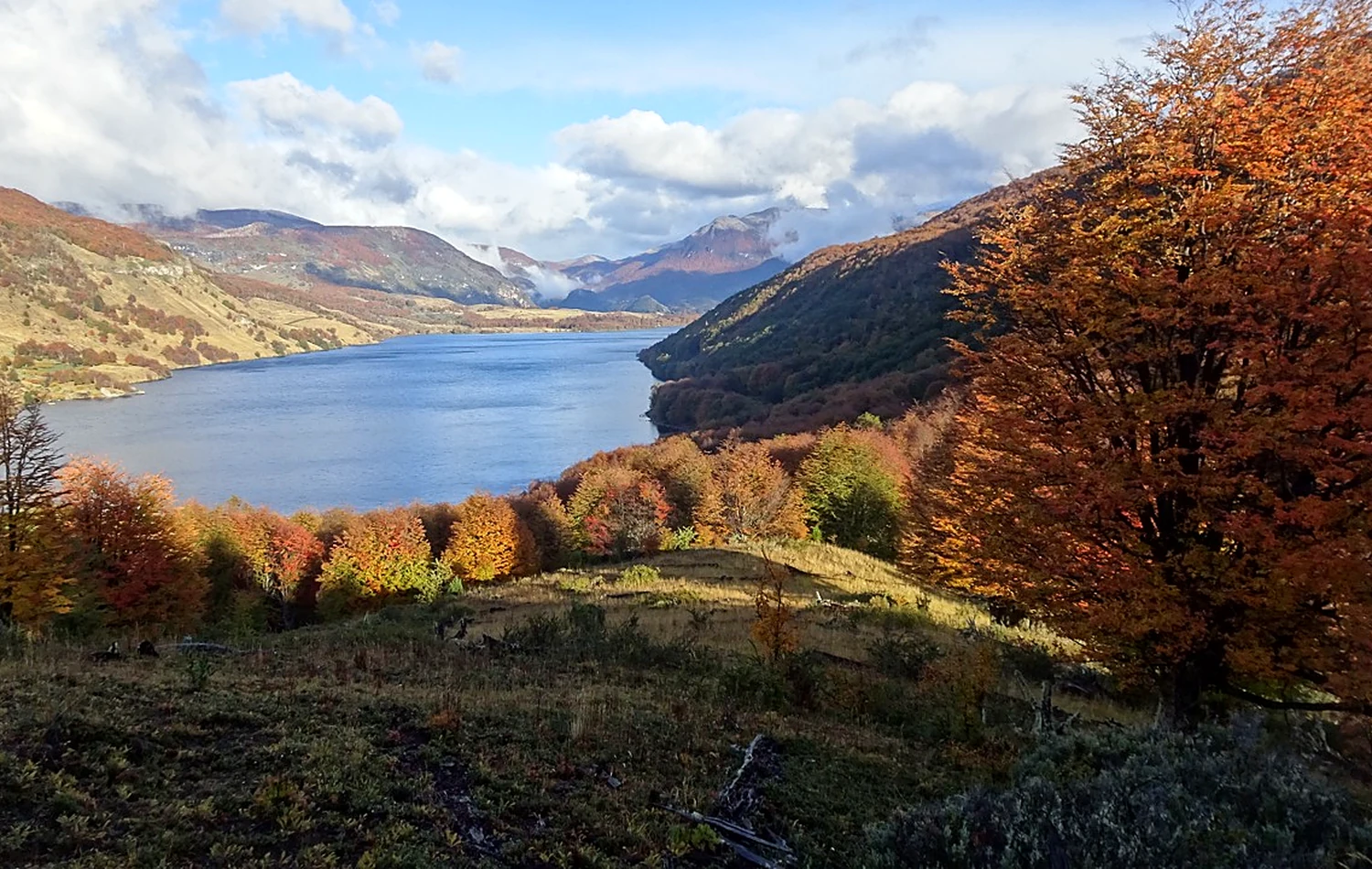 Vista amplia del Lago Monreal en otoño