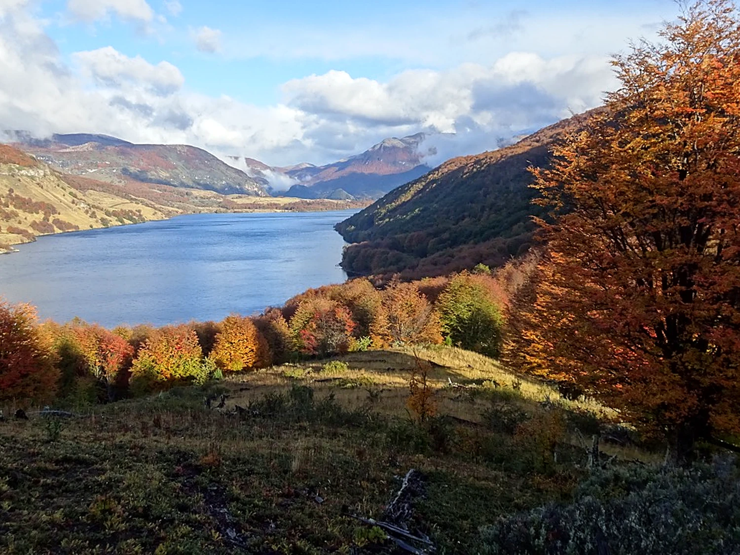 Vista del Lago Monreal y bosque nativo en otoño